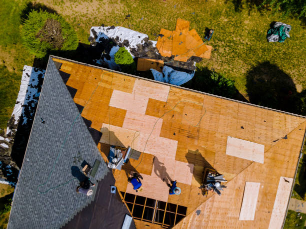 Best Roof Maintenance Services  in Muenster, TX