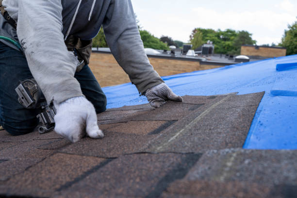 Best Best Roofing Contractors  in Muenster, TX