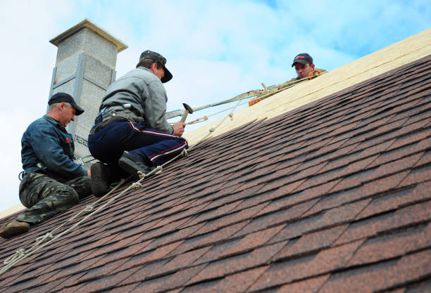 Best Metal Roofing Contractor  in Muenster, TX