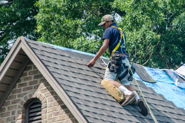 Best Shingle Roofing Installation  in Muenster, TX